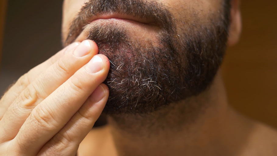 The Best Products for an Itchy Beard, According to SPY